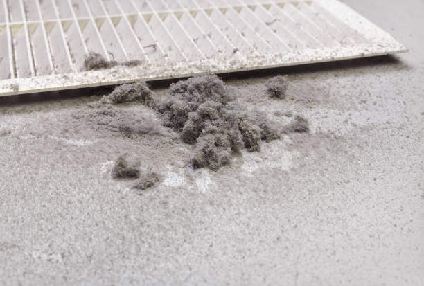Best Local Air Duct Cleaning Services  in Crow Agency, MT