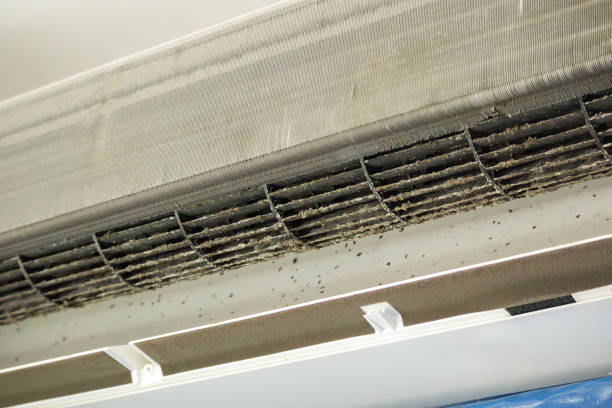 Best Affordable Air Duct Cleaning  in Crow Agency, MT